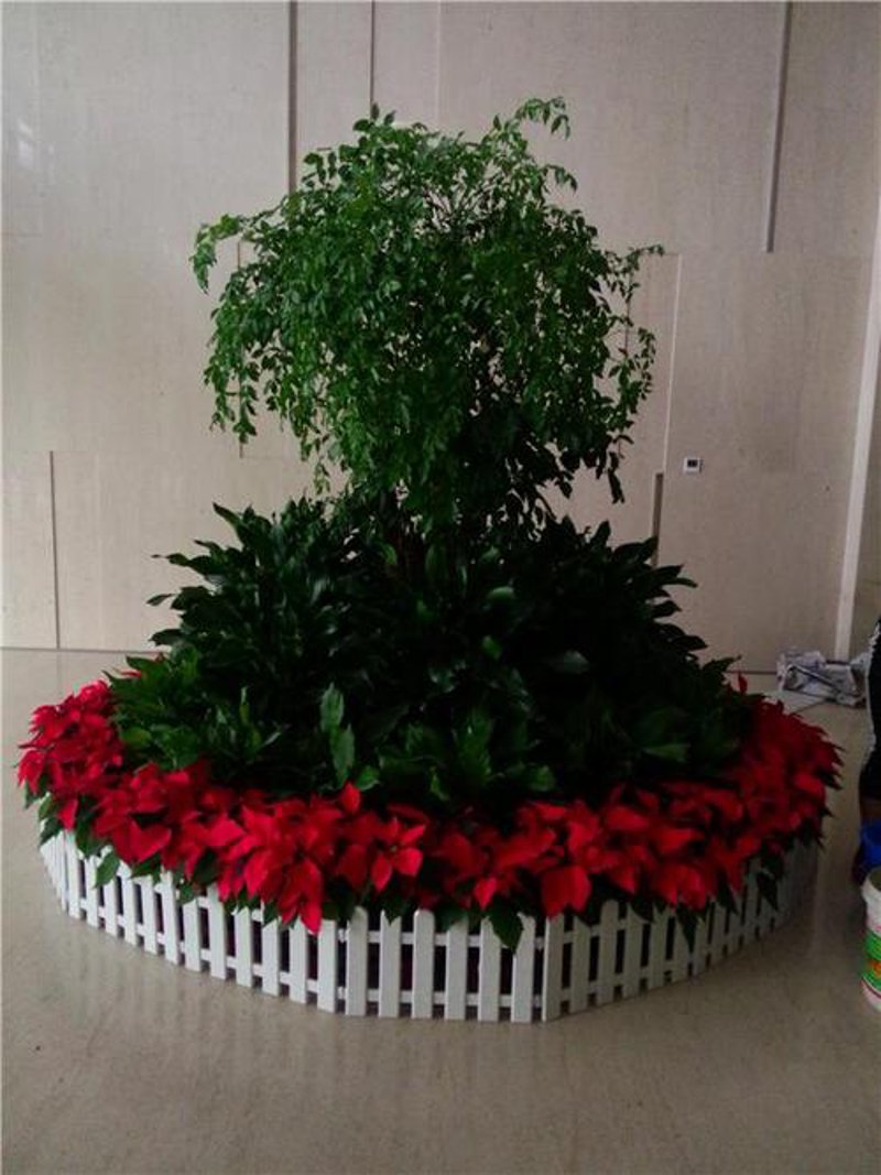 花卉租摆