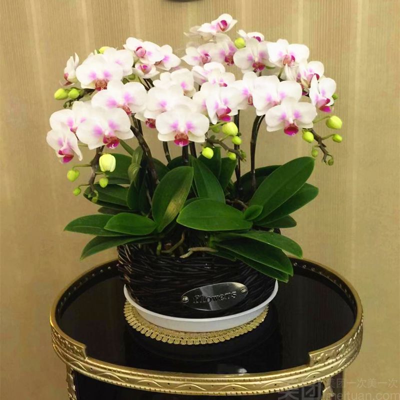 连云港鲜花店:城市的温暖使者